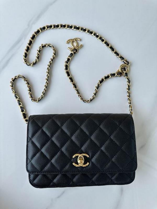 Chanel Handbags 691